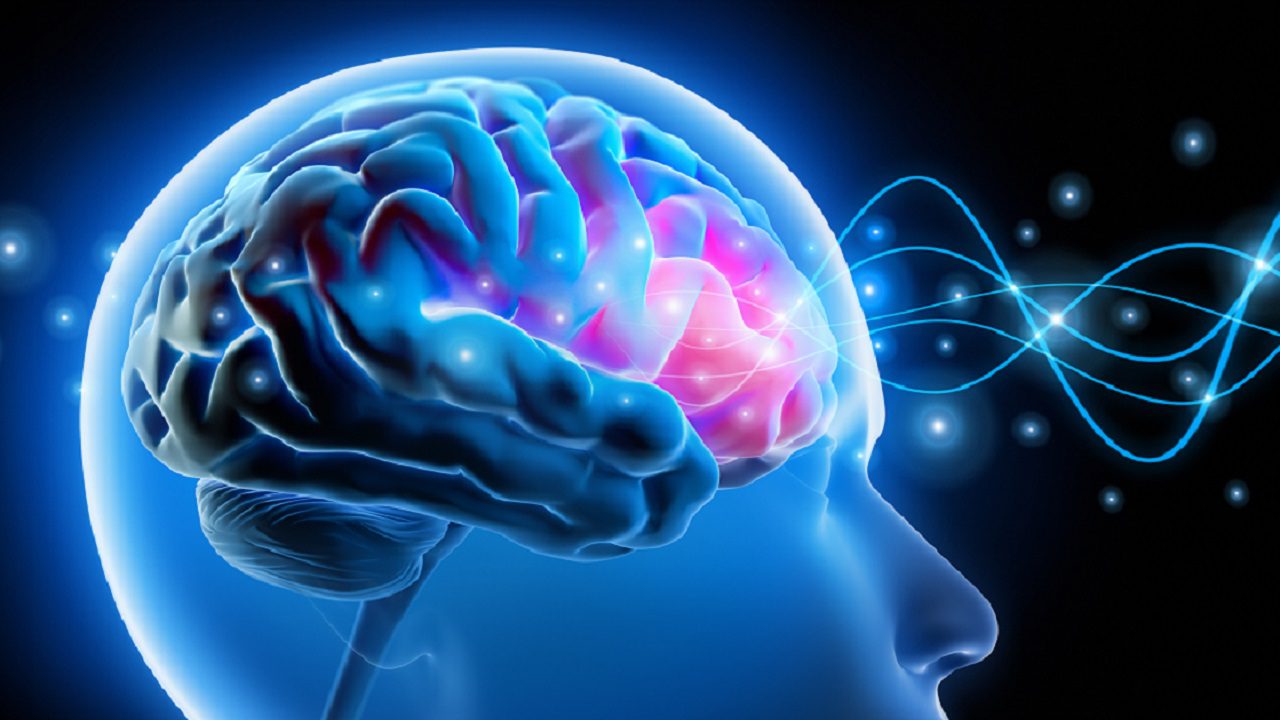 Cérebro humano com destaque para o córtex pré-frontal e suas conexões neuronais.